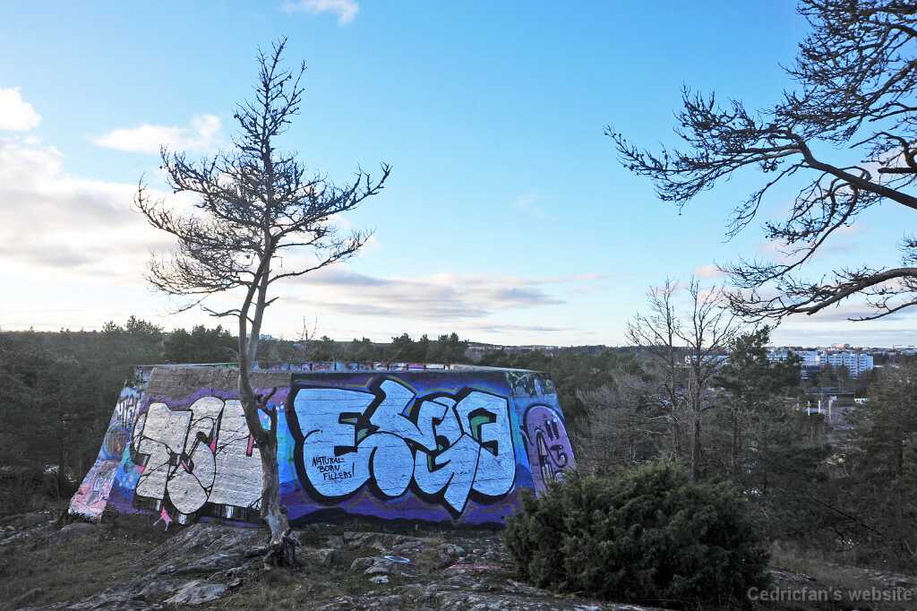 DSC_2627