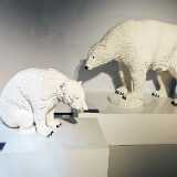 IMG_20251227_110634