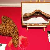 IMG_20251226_160943