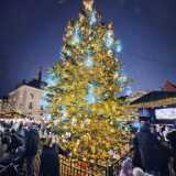 IMG_20251226_162930