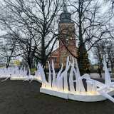 IMG_20251207_112119