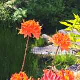 IMG_20250613_134900