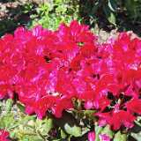 IMG_20250613_140040