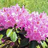 IMG_20250613_140126