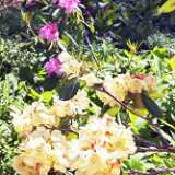 IMG_20250613_140338