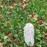 IMG_20250915_185943