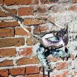 IMG_20260110_131937