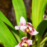 DSO_3887
