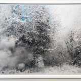 IMG_20260207_111500