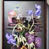 IMG_20260207_111842
