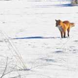 IMG_20260214_114322