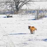 IMG_20260214_114323