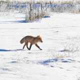 IMG_20260214_114330