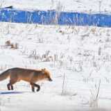 IMG_20260214_114338