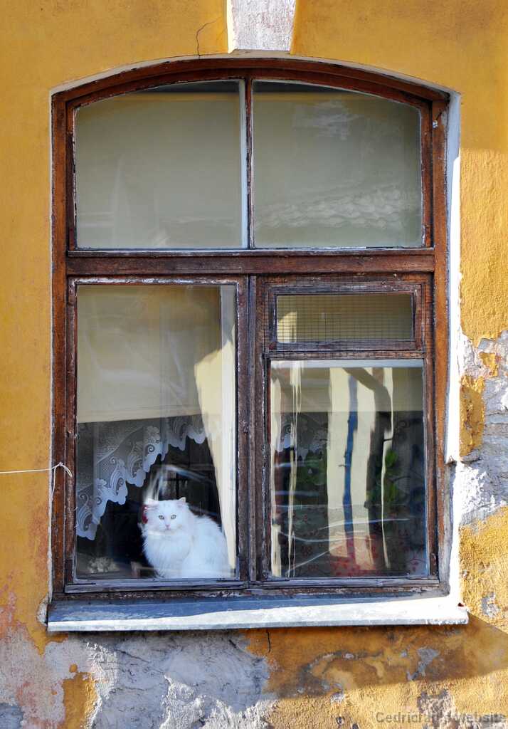 DSC_2661