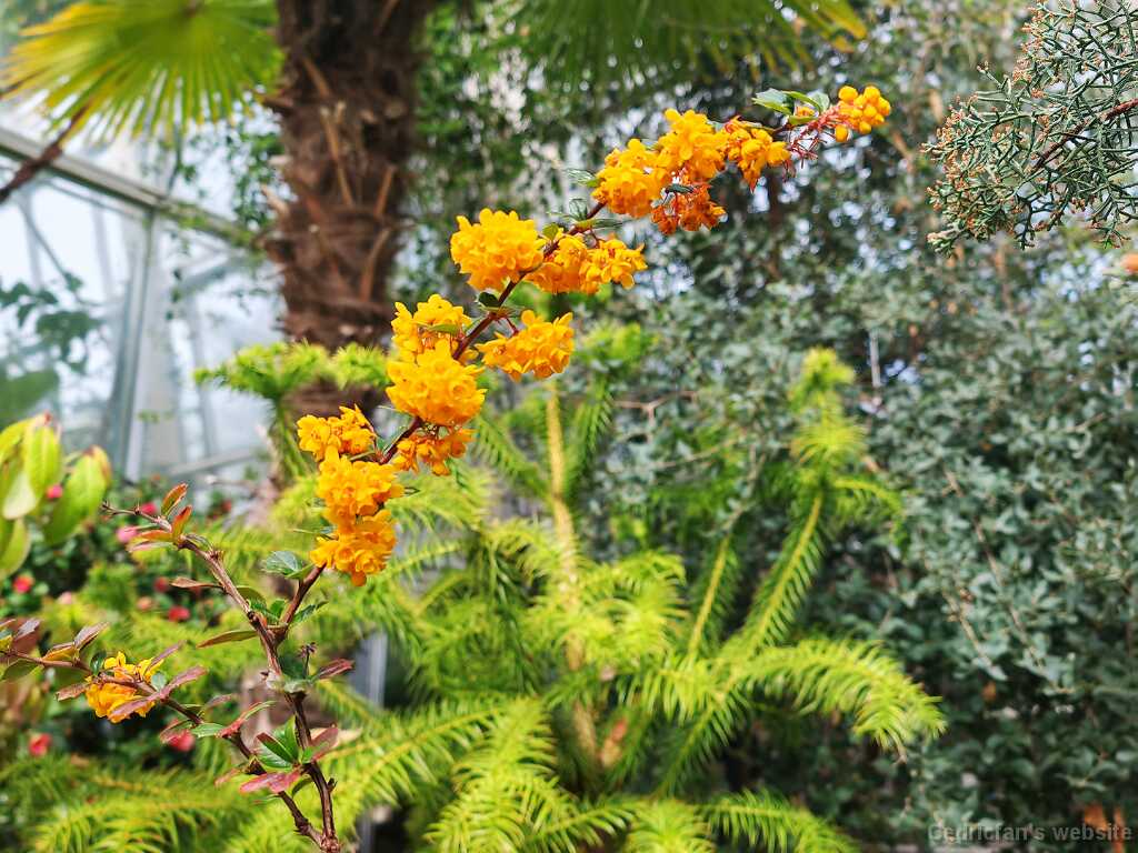 IMG_20260405_130058
