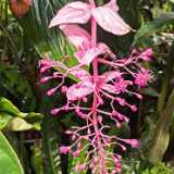 IMG_20260405_125539