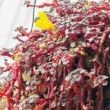 IMG_20260405_125711