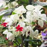 IMG_20260405_125739