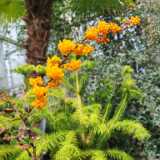 IMG_20260405_130058
