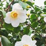 IMG_20260405_130158