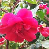 IMG_20260405_130215