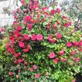 IMG_20260405_130235