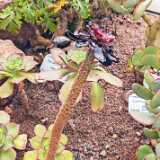 IMG_20260405_131212
