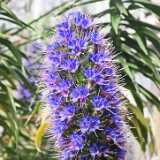 IMG_20260405_131350