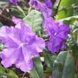 IMG_20260405_131554