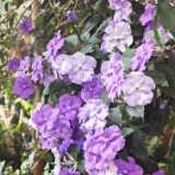 IMG_20260405_131658