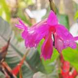 IMG_20260405_132221